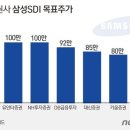삼성에스디아이 이미지