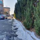 분당-254 이미지