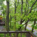 월드니스 이미지