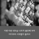 비상청춘