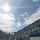 거청 | 2020 부산국제사진전이 열리는 영도 거청조선소 방문후기 (영도핫플)