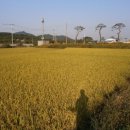 정문희망마을 이미지