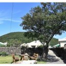 큰돌민박 이미지