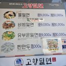 경주여행밀면여행라멘 | 경주 여행 점심 대릉원 근처, 고향밀면 본점 솔직후기