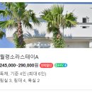 월령소라스테이 이미지