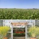 봄꽃힐링투어 이미지