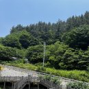 봉래약국 이미지