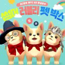 러블리박스 이미지