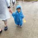 무안황토갯벌랜드(제1주차장) 이미지