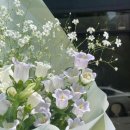 8월 12일 ~ 8월 18일 산수도인 별자리 운세 이미지