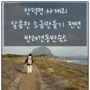 달콤한펜션 | 달콤한소금만들기 제주도 반려견동반펜션 내돈내산