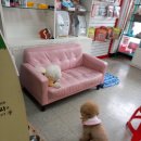 쏠티유치원 이미지