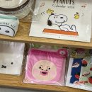 아오키네잡화점 이미지