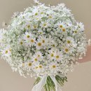[결혼준비] 생화부케예약, 촬영부케예약 (달달플레르)