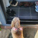 재인스가든 이미지