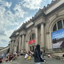 스페인아오라 | [미국 여행] 메트로폴리탄에서 꼭 봐야할 작품들!(feat. chatGPT)/MET 무료 입장 후기