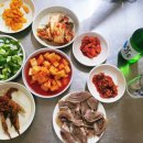 초만원 티스토리