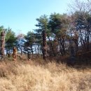 소호농장 이미지