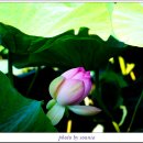 고구낚시터 이미지