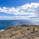 바다파파 이미지