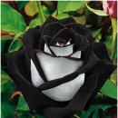 소망부동산공인중개사사무소 이미지