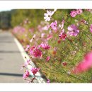 신도펜션 이미지