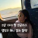 이지패션 | 이지피지선글라스 키즈선글라스 이지피지주니어 5살 아이 데일리 착용 후기