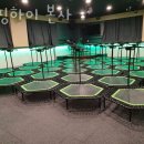 점핑하이 이미지