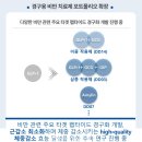 디앤디 이미지