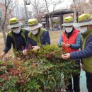 인애유치원 이미지