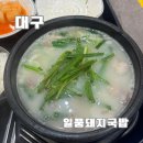 대구 일품돼지국밥 죽전본점 후기