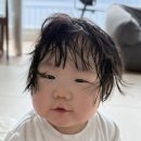 [집카이브] 생존신고 3탄(최종) / 어니스트플라워 성수 팝업 / 돌준맘 / 11개월 아기 육아
