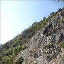 스테이 수림 이미지