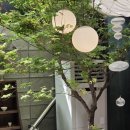 차차커피코여울공원점 | [서울]종로 가볼만한 곳: 내가 애정하는 성북천부터 흥인지문공원 성곽길까지