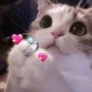 예산-03 | [w.03-2] 청주 르쥬엘 당일계약 후기 청주 웨딩밴드 투어와 결정까지 내돈내산 후기