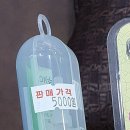 대불약국 이미지