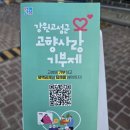 2025 고성 저도 대문어축제 대진항 문어숙회/무침 등 가격표, 운영시간 다녀온 후기(6/7-6/8)