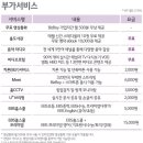 비즈보이