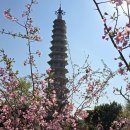 남미륵사 이미지