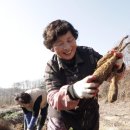 참맛농부