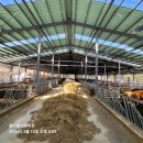 필승농장 이미지