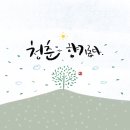 콩심 이미지