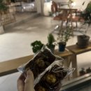 달동커피 이미지