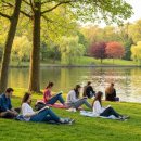 Book + Picnic 북크닉 이미지