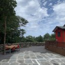 비자림라파 이미지