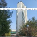 분당-판교-2024 이미지