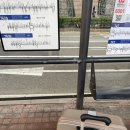 [호주 여행] 시드니 day0 젯스타 항공 후기/호주 유심/오팔카드