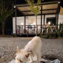 길안다슬기캠프 이미지