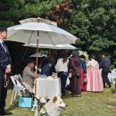 영화농장 | 경북 야외웨딩 · 포항 야외웨딩 찾는다면? 비손농장 실제 예식 후기 공개!