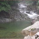 가평체육관 건너편 이미지